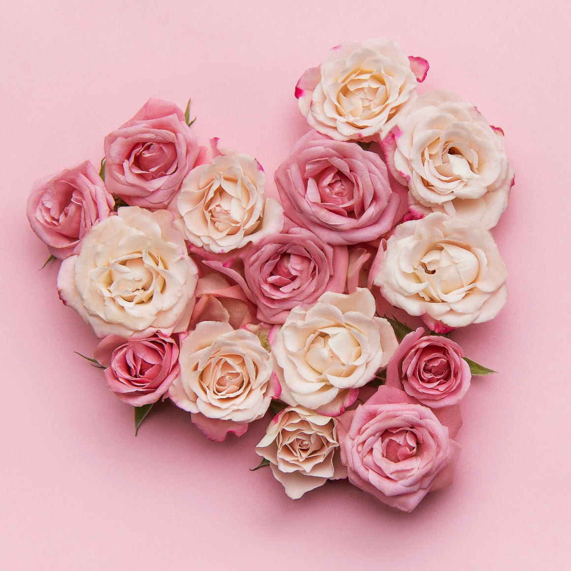 Roses, 9 Piece Box